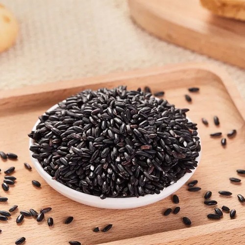 About Us – Avisha Ventures